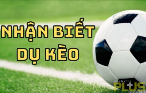 nhận biết kèo dụ