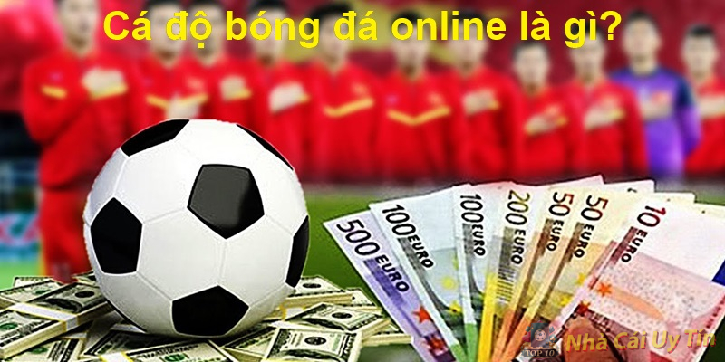 Cá độ bóng đá online là gì?