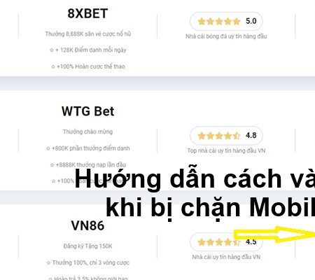 Hướng dẫn cách vào nhà cái khi bị chặn Mobile & PC